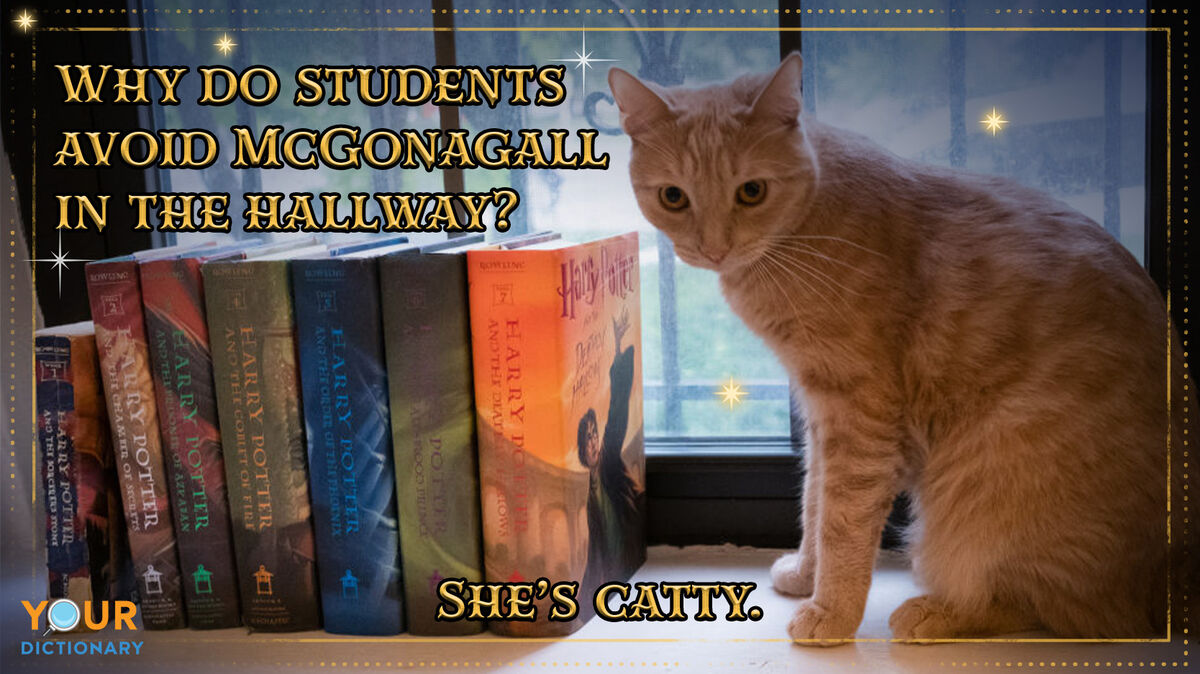 Harry Potter Puns McGonagall