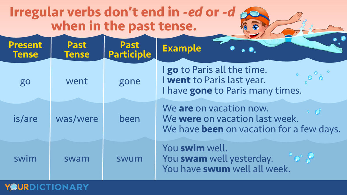Young swimmer What Is an Irregular Verb Examples