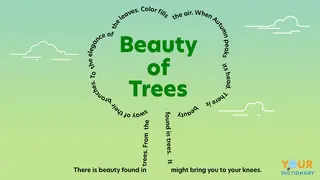 concrete poem beauty of trees