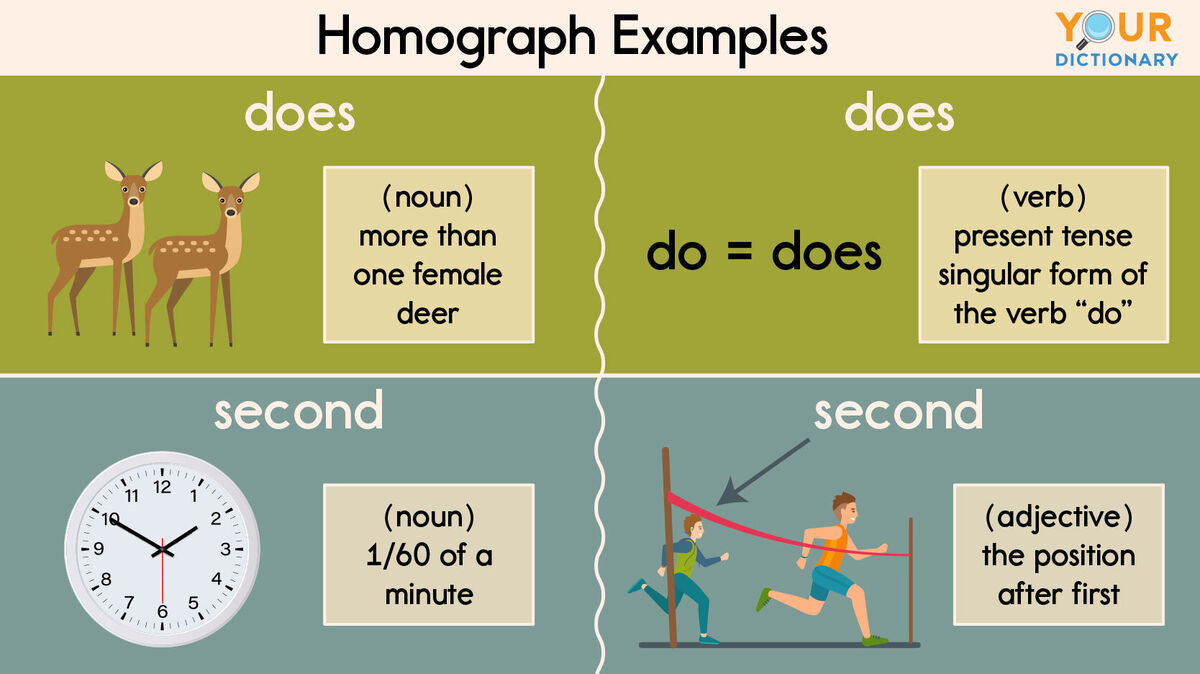 homograph examples does and second