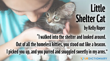 girl with kitten free verse poem Little Shelter Cat
