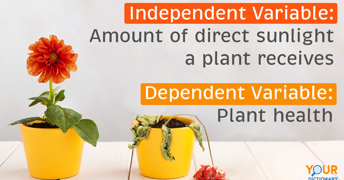 dependent variable science examples