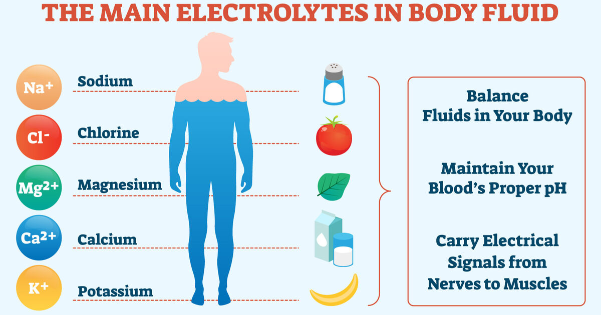 Examples of Electrolytes Basic Explanation and Purpose YourDictionary