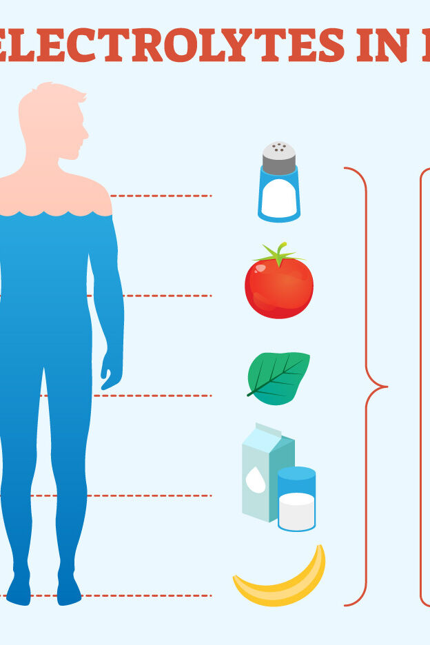 Examples of Electrolytes: Basic Explanation and Purpose | YourDictionary