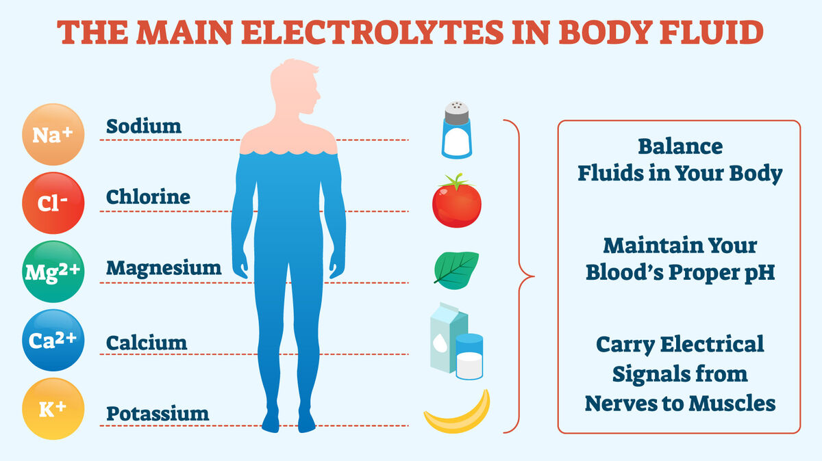 Examples of Electrolytes