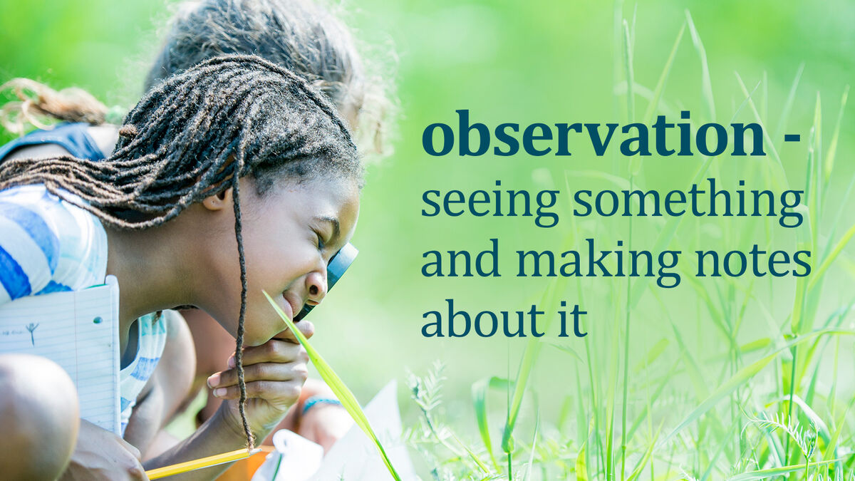 science term definition of observation