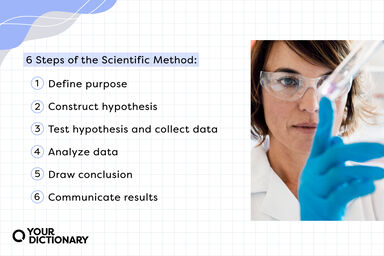 list of the six steps in the scientific method restated from the article