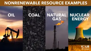 Nonrenewable Resources oil coal natural gas nuclear energy