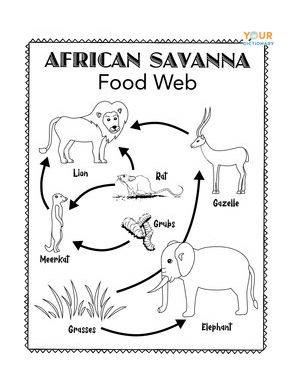 african savanna food chain diagram