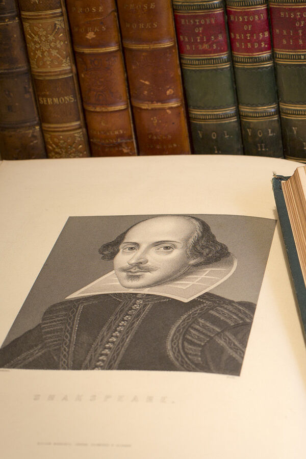 Soliloquy in Romeo and Juliet Examples and Importance YourDictionary