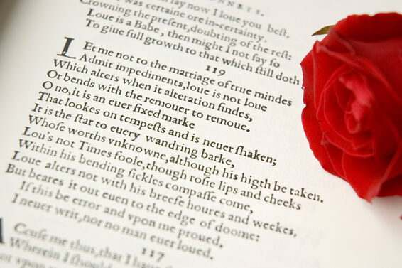 A sonnet with a red rose as sonnet examples