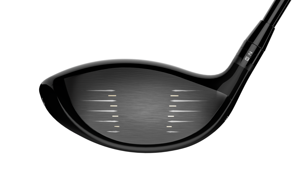 Face of the Titleist TS1 Driver
