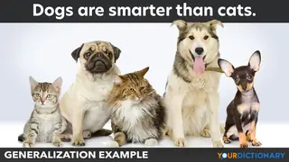 posed dogs and cats generalization example