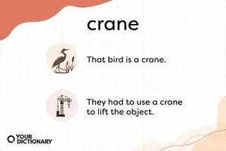 homonym example crane