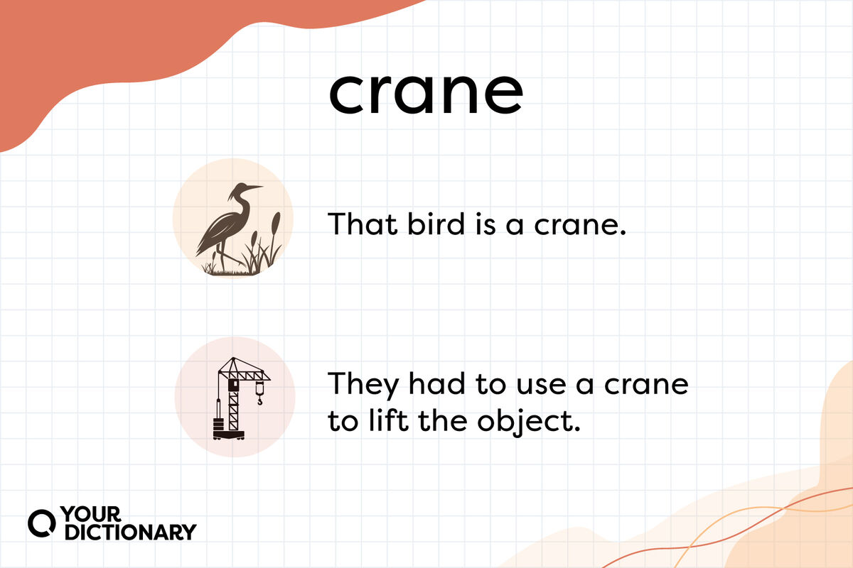 homonym example crane