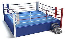 Image of a professional wrestling ring