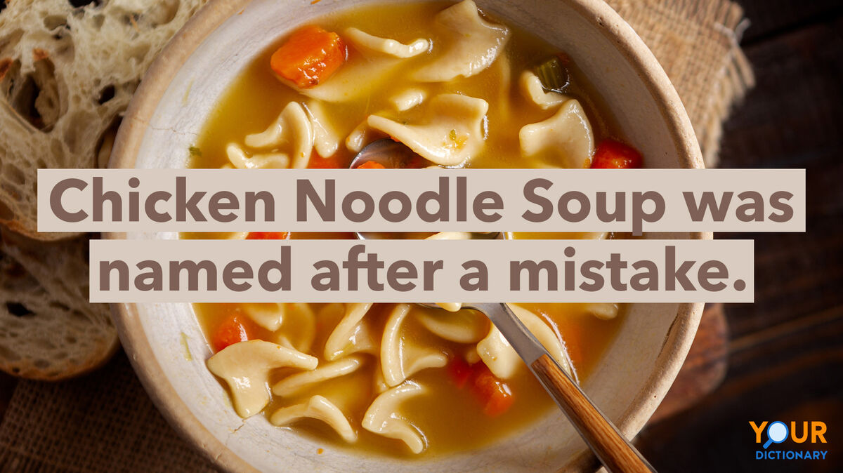 Chicken noodle soup fun food facts