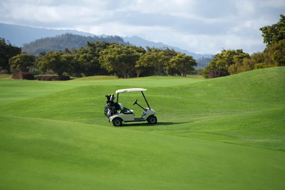 Life Expectancy of a Golf Cart Battery: How Long Does It Last? Golflink.com