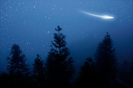comet in night sky above trees