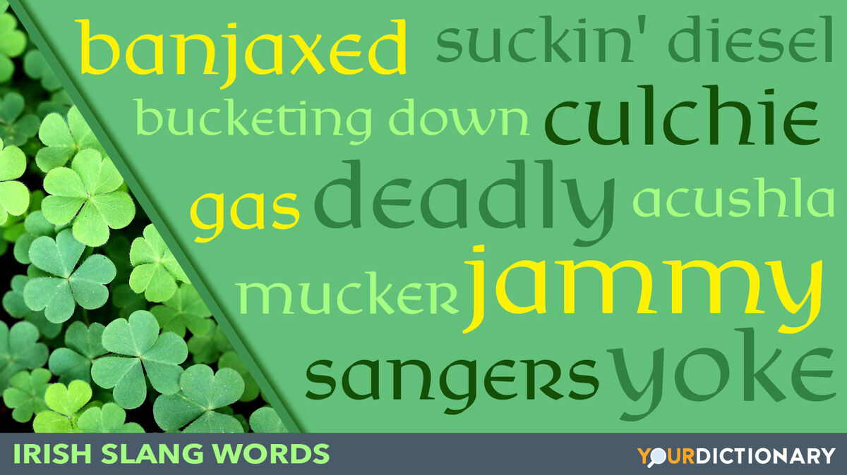 Three Leaf Clovers With Irish Slang Words Examples