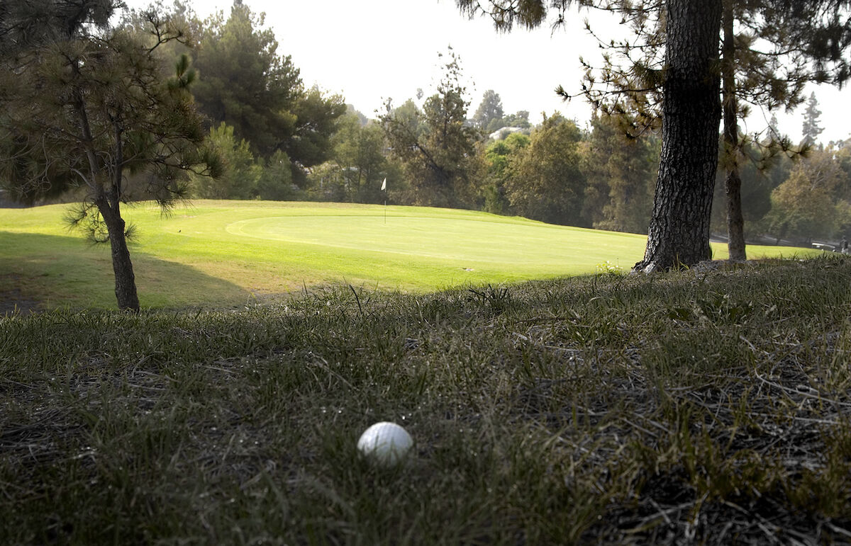 Golf's Out of Bounds Rules, Penalties & Procedures Golflink.com