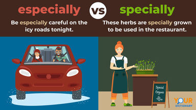 especially - car versus specially - plant lady
