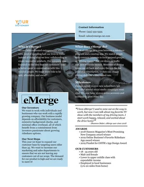 company one-pager example