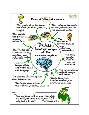 science one-pager example