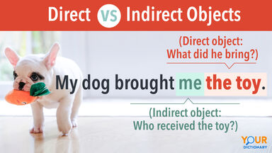 Puppy walking with toy Direct vs Indirect Object Example