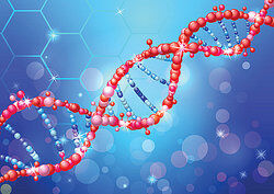 DNA sequence, an example of genotype