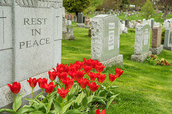 epitaphs on headstones in cemetary