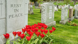 Memorable Epitaph Examples | YourDictionary