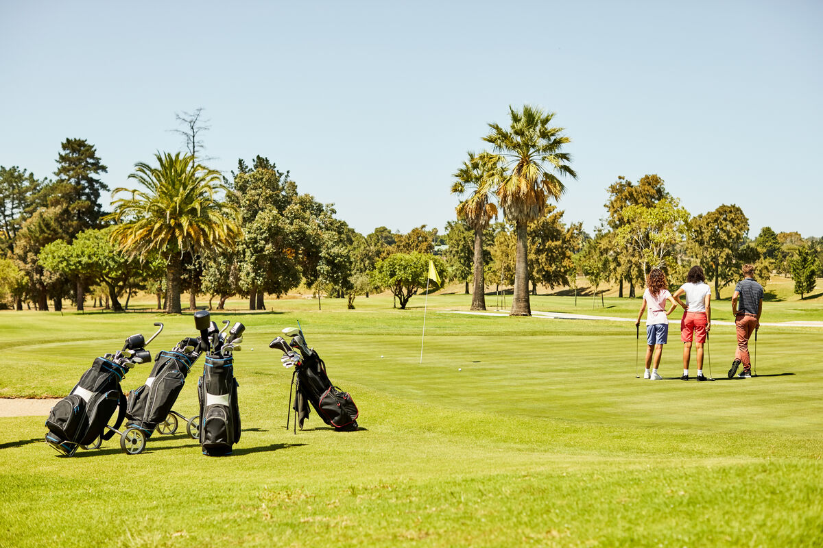 golf bags next to the green