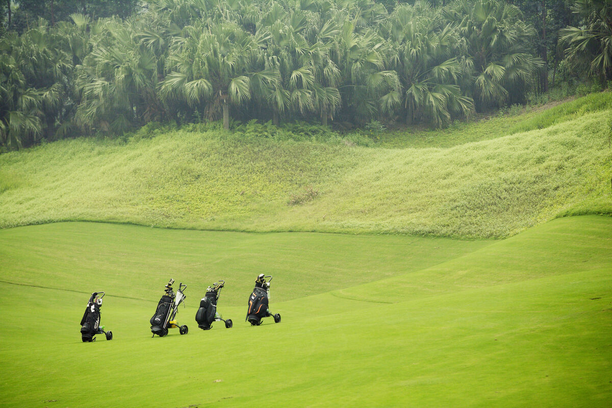 golf bags waiting in fairway