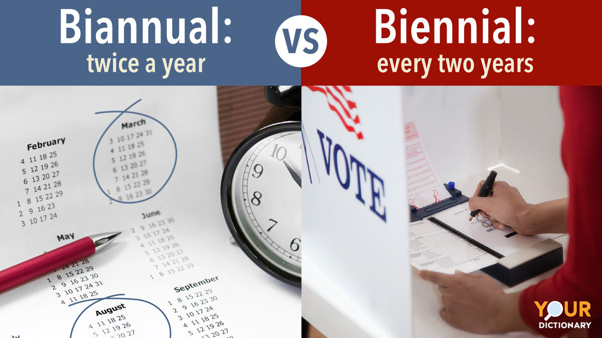 Biannual - Annual calendar, clock and pen vs Biennial - Voter voting in polling place