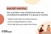 definition and three examples of "social norms" from the article