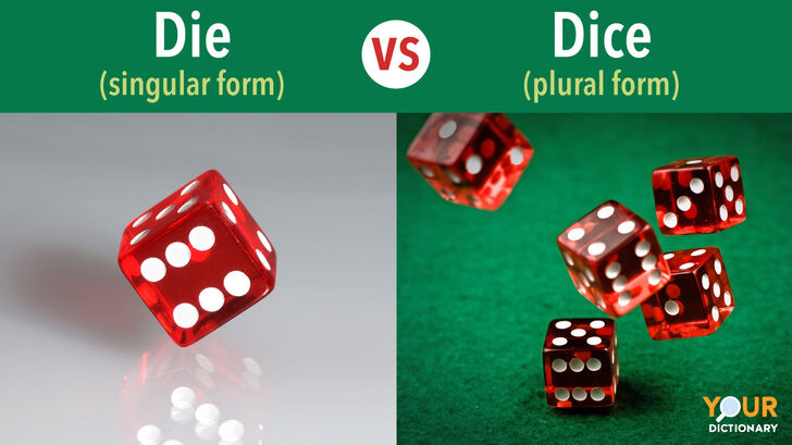 die-vs-dice-don-t-chance-the-difference-yourdictionary