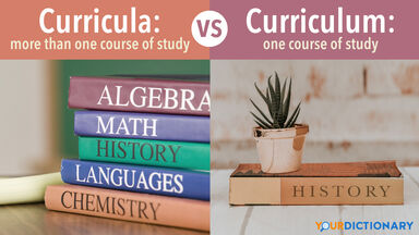 Curricula - Pile of Textbooks vs Curriculum - History Textbook
