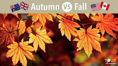 Golden maple Leaves Autumn vs Fall