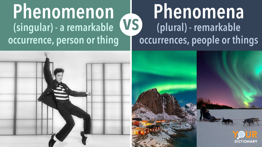 Phenomenon Vs Phenomena Same Meaning Different Quantity YourDictionary