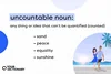 definition of "uncountable noun" with list of four examples from the article