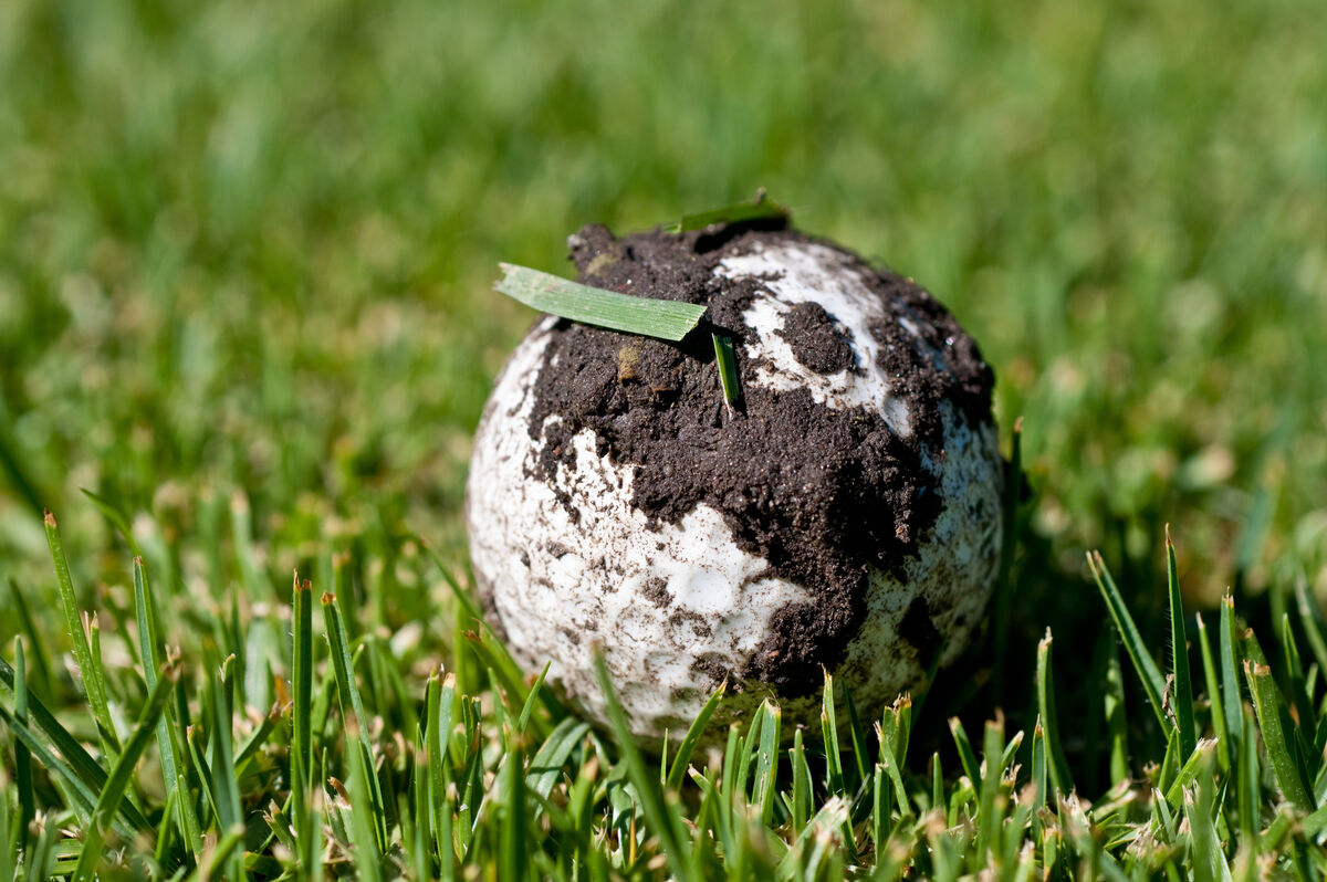 dirty golf ball in mud