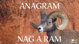 Bighorn Sheep-Ram as Anagram Examples