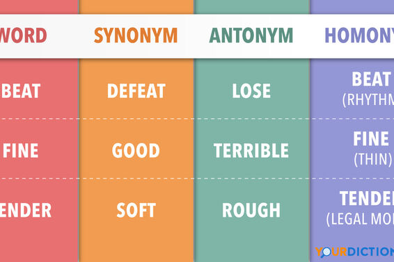 Synonyms & Antonyms | YourDictionary