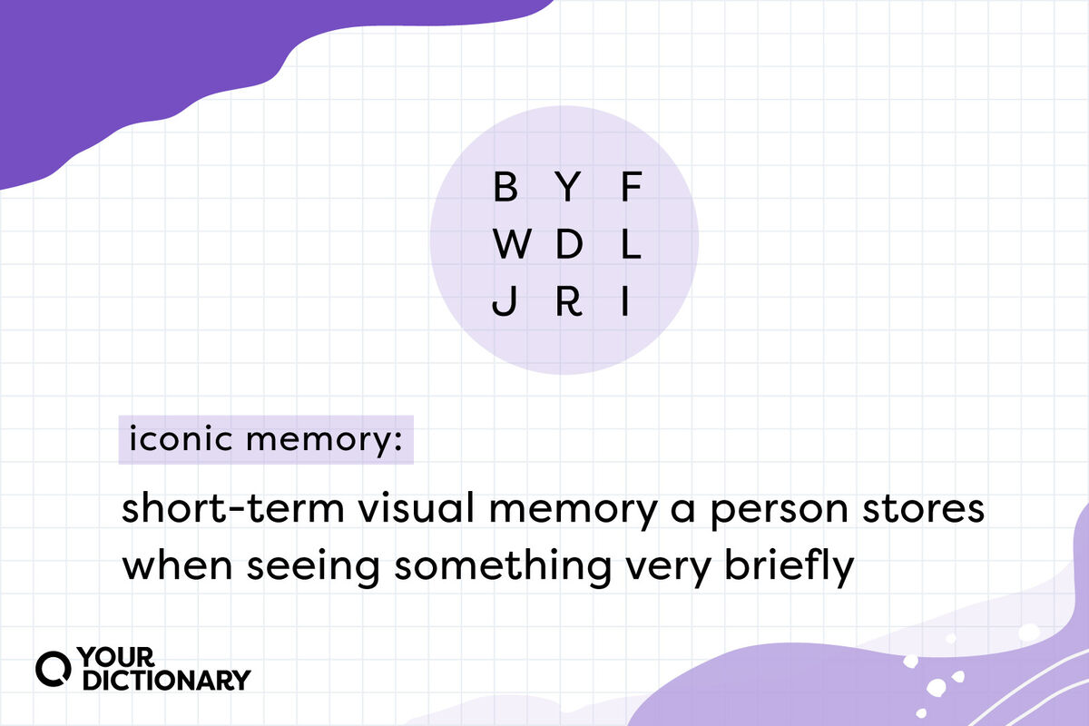 definition of "iconic memory" from the article