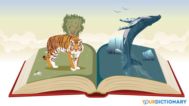 Open Book, Tiger and Whale as Examples of Famous Allegories