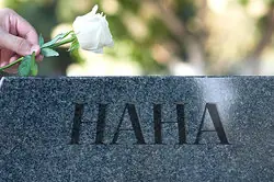 Putting rose on haha gravestone