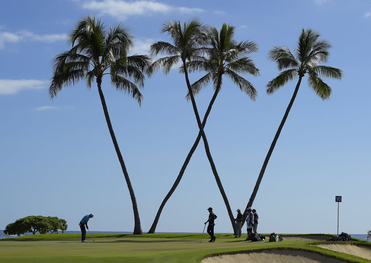The 16th hole at the Sony Open
