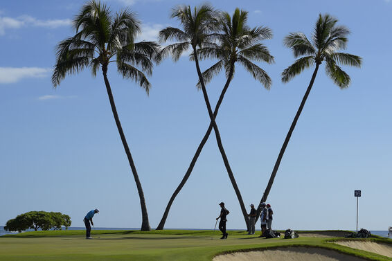 The 16th hole at the Sony Open