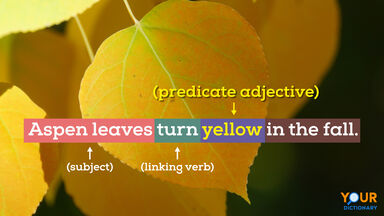 Aspen leaves as Examples of Predicate Adjectives